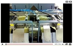 Semi-automatic weighing machine mod.  BG EASY double weigher and double channel for mozzarella
