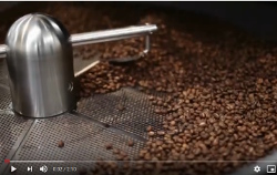 Peseuse conditionneuse automatique mod. BG37IM1 pour café en grain