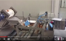 Automatic weighing packing machine mod. BG37IM for biscuits, taralli and similar products